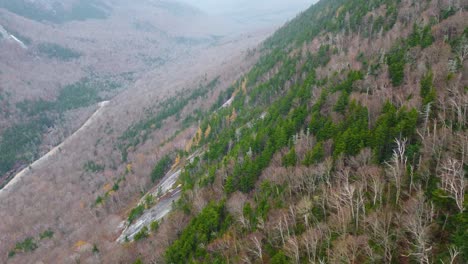 Birdseye-view-of-Mount-Washington-side-covered-by-forest-stripped-of-leaves-at-the-beginning-of-winter