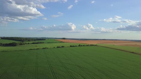 Imagen-Aérea-De-Una-Creciente-Plantación-De-Soja-En-El-Interior-De-Río-Grande-Del-Sur-En-Brasil.