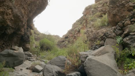 Remote-rocky-volcanic-ravine-with-green-shrubs-and-grass-in-South-Tenerife-rural-countryside-in-spring,-Canary-Islands