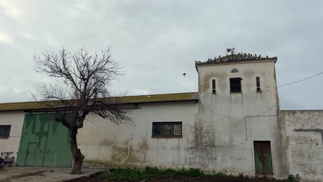 Perched-atop-the-aged-and-weather-beaten-structure,-birds-congregate-against-a-cloudy-sky,-invoking-a-sense-of-nostalgia-and-rustic-charm-reminiscent-of-bygone-eras-and-vintage-allure