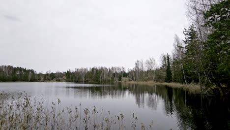 Bale-quarry-in-Beverina,-Cesis,-Latvia,-offers-a-serene-landscape-featuring-a-calm-lake-reflecting-the-overcast-sky,-surrounded-by-tall-grass,-bare-trees,-and-a-evergreen-forest-under-a-cloudy-sky