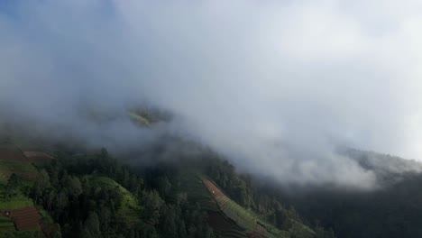 Una-Espesa-Niebla-Cubría-El-Bosque-En-Las-Laderas-De-Las-Montañas