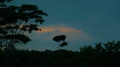 Dramáticas-Nubes-De-Tormenta-Que-Oscurecen-El-Bosque-Tropical,-Timelapse