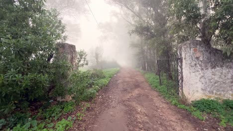 Caminando-Por-Un-Sendero-Brumoso-Y-Lleno-De-Niebla,-Pasando-árboles,-Capturando-La-Esencia-De-Un-Estilo-De-Vida-Suburbano