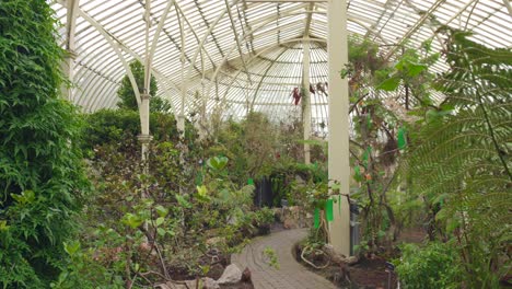 Vista-Interior-De-Plantas-Y-árboles-De-Los-Jardines-Botánicos-Nacionales-De-Glasnevin,-Irlanda