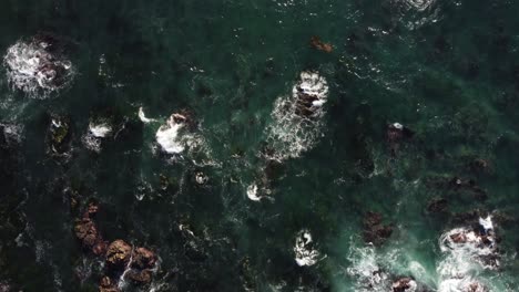 Slow-Motion-Bird's-Eye-View-of-the-ocean-waves-at-Asilomar-Beach-in-Monterey