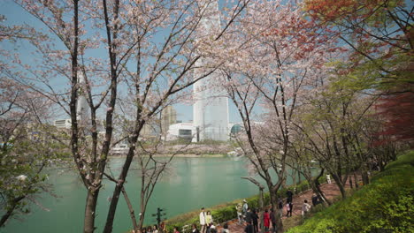 Die-Bürger-Von-Seoul-Genießen-Den-Frühling-Bei-Einem-Spaziergang-Am-Seokchon-See-Im-Songpa-Naru-Park-Unter-Blühenden-Sakura-Bäumen-Und-Mit-Blick-Auf-Den-Wolkenkratzer-Lotte-World-Tower