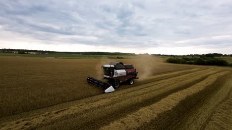 Drone-Shot-of-Grain-Harvester-in-Big-Agricultural-Field-Harvesting-Wheat