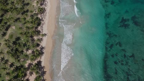Top-view-of-Samana-Bay-shore,-Dominican-Republic
