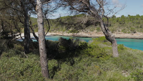 Idyllische-Strandbucht-In-Cala-Mondrago,-Mallorca,-Umrahmt-Von-Wunderschönen-Pinien