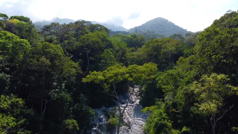 Vista-Aérea-De-Exuberantes-árboles-Verdes-En-El-Bosque-Con-Río-En-Santa-Marta,-Colombia
