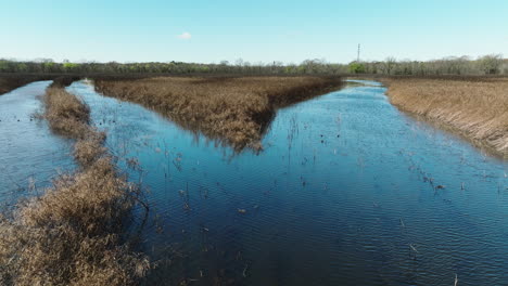 Wetlands-At-Grassy-Lake-Water-Trail-In-Bell-Slough-Wildlife-Management-Area,-Faulkner-County,-Arkansas