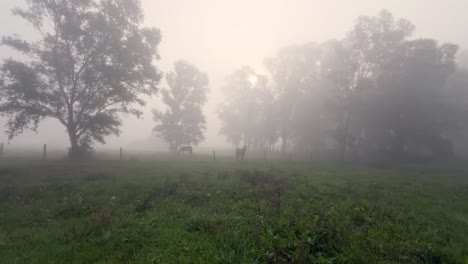 An-ethereal-landscape-veiled-in-mist-and-fog,-where-trees-rise-from-verdant-fields-and-horses-stand-amidst-the-scene