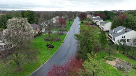 Aerial-view-of-quaint-street-in-colorful-suburb-residential-area-after-rain-in-spring
