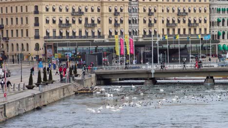 Lebendige-Aussicht-Auf-Die-Uferpromenade-Von-Stockholm-Mit-Grand-Hotel,-Menschen-Und-Vögeln,-Bewölkter-Tag