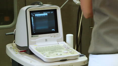 Veterinarian-taking-the-ultrasound-device-for-examination-in-the-animal-clinic