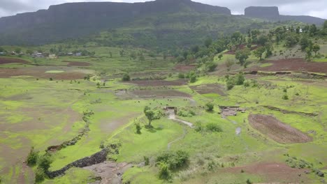 Lush-Open-Nature-and-Cattle,-Western-Ghats,-India,-Aerial-Forward-Tilt