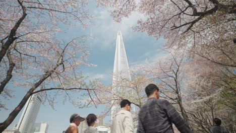 Lotte-World-Tower-Und-Kirschblütenbäume,-Koreaner-Spazieren-Im-Songpa-Naru-Park