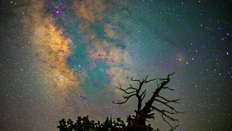 The-Milky-Way-Gracing-the-Silhouettes-of-Nature---Timelapse