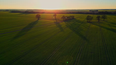 Aerial-of-beautiful-sunset,-drone-flying-backwards,-Latvian-rural-meadow