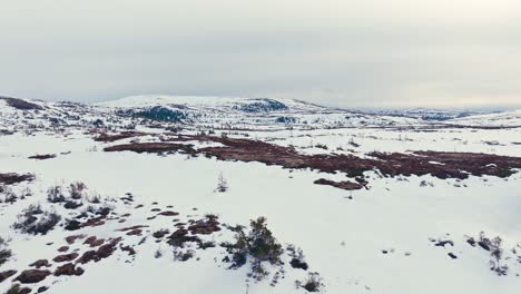 Dense-Snow-Covering-Mountain-Landscape-Near-Verran,-Indre-Fosen,-Norway