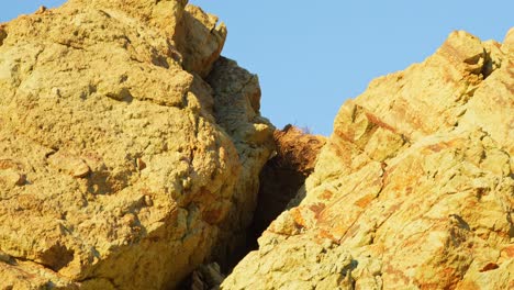 Creek-volcanic-rocks-in-Tenerife-National-Park,-close-up-view