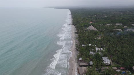 Vista-Aérea,-Franja-Interminable-De-Arena-Suave-Y-Palmeras,-Extensa-Costa-De-Palomino