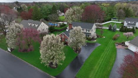 Luftaufnahme-Der-Häuser-Der-Oberschicht-In-Einem-Vorort-Von-Amerika-Mit-Blühenden-Bäumen