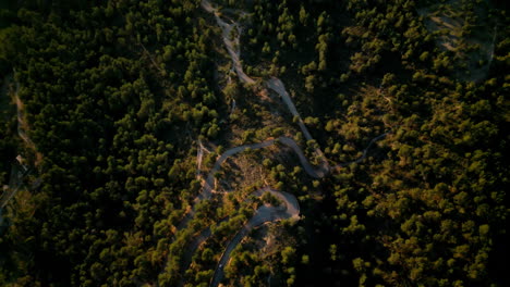Serpentine-road-winds-through-lush-Mallorcan-forest-at-sunset