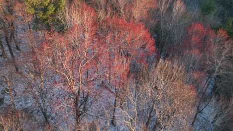 Arces-Rojos,-Nieve-Primaveral-En-Las-Montañas-Apalaches-Aéreas-En-Los-Apalaches