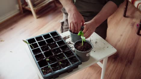 Man-Making-Hole-On-Soil-In-The-Pot-For-Seedling