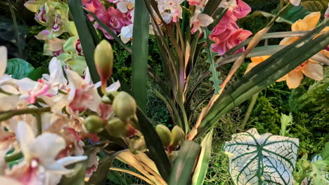 Multicolor-flowers-bunch-Magnolia-white-Fragrant-pink-full-bloom