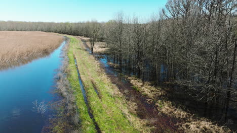Aerial-View-Of-Wetland-In-Bell-Slough-State-Wildlife-Management-Area,-Arkansas,-United-States---Drone-Shot