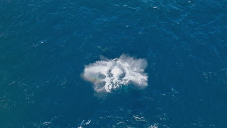 Ein-Buckelwal-Spielt-Nahe-Der-Oberfläche-Im-Blauen-Wasser