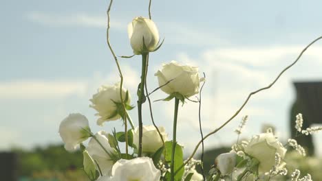 A-bouquet-of-white-roses-with-a-light-blue-sky-in-the-background