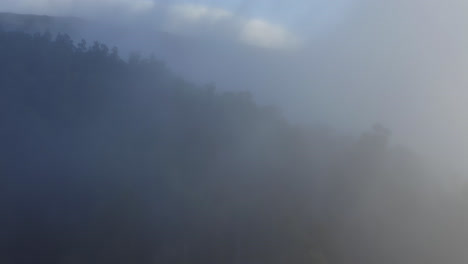 Drone-dolly-view-of-fog-over-the-trees-on-the-Haleakala-volcano-on-Maui,-Hawaii