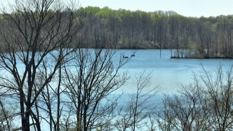 Bare-Trees-In-The-Forest-By-Glenn-Springs-Lake-In-Daylight-In-Tennessee,-USA