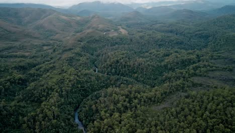 Meandering-Stream-In-Dense-Thickets-At-Franklin-Gordon-Wild-Rivers-National-Park-In-Tasmania,-Australia