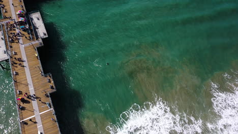 Aerial-view-of-a-surfer-swimming-in-front-of-the-Santa-Monica-pier-in-Los-Angeles,-USA