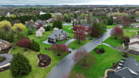 Luxury-Villas-and-Mansion-in-Suburb-Neighborhood-of-USA