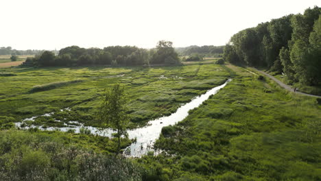 Seitliche-Luftaufnahme-Eines-Kleinen-Flusses,-Der-Durch-Das-Naturschutzgebiet-Bourgoyen-Ossemeersen-In-Gent-Fließt