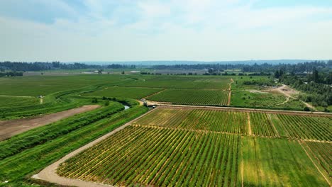 Aerial-View-of-Serpentine-River-Through-The-Green-Fields-In-Surrey,-British-Columbia,-Canada