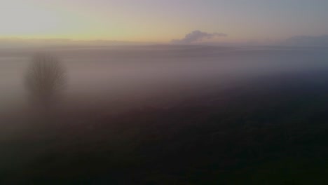 Ein-Einsamer-Baum-Im-Nebel-Auf-Den-North-York-Moors,-England-Bei-Sonnenuntergang