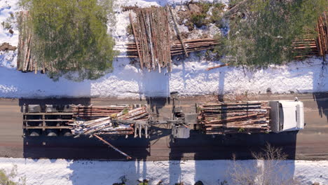 Truck-log-loader-loads-cut-tree-logs-from-snowy-terrain-onto-trailer