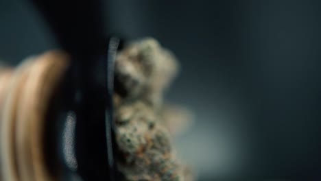 A-vertical-macro-smooth-detailed-crane-shot-of-a-cannabis-plant,-hybrid-orange-strains,-sativa-,marijuana-flower,-on-a-rotating-stand,-Full-HD,-super-slow-motion,-120-fps,-studio-lighting