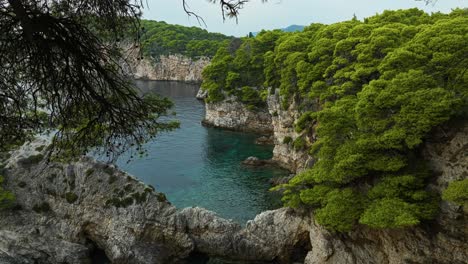 Insel-Kalamota,-Adria,-Kroatien-–-Der-Kontrast-Des-Klaren-Blauen-Wassers-Gegenüber-Der-Zerklüfteten,-Bewachsenen-Felsküste-–-Drohne-Fliegt-Vorwärts