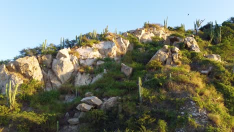 Toma-Aérea-Ascendente-Hacia-Un-Afloramiento-Rocoso-Con-Plantas-De-Cactus-En-La-Cresta-De-Santa-Marta,-Magdalena,-Colombia