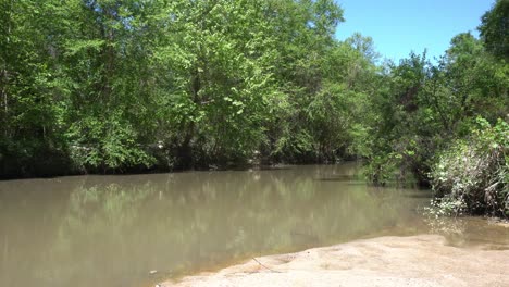 Este-Es-Un-Video-Corto-De-Un-Pequeño-Río-Que-Fluye-A-Través-De-Un-Bosque,-En-Una-Tarde-Soleada,-Con-Cielos-Azules-Y-Despejados.