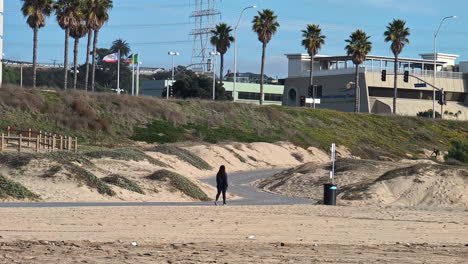 Manhattan-Beach-day-scene-people-riding-bicycle-on-road,-tall-palm-tree