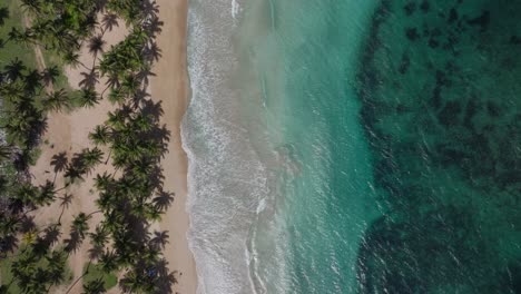 Overhead-aerial-view-of-Samana-Bay,-Dominican-Republic